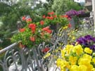 Kherling_May 2008_001b