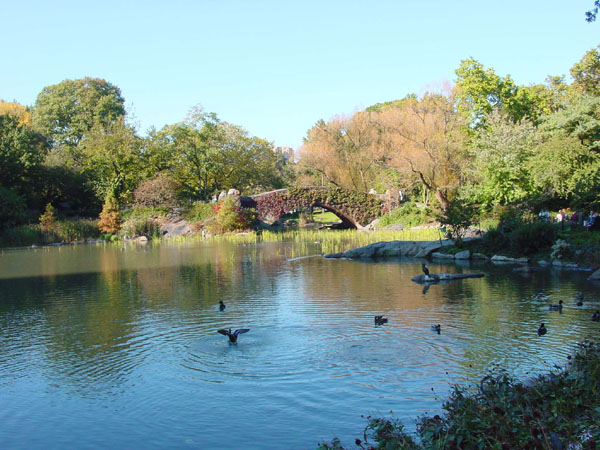 centralpark08
