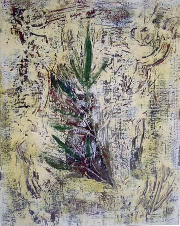 Palm fossil N3