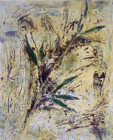 Palm fossil N4