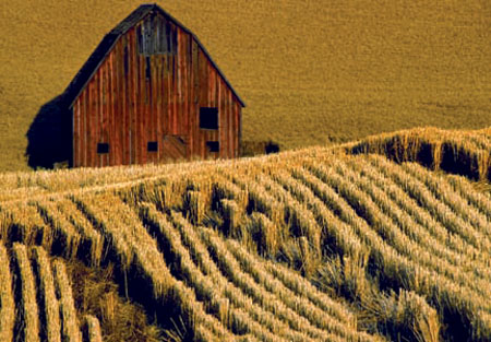 Red Barn, Palouse